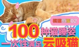 番鼠爆料视频大全下载免费,揭秘热门话题背后的真相