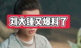 刘大锤最新爆料王子文,刘大锤独家爆料，神秘男友身份引热议