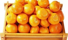 橘子娱乐吃瓜队,揭秘娱乐圈幕后风云